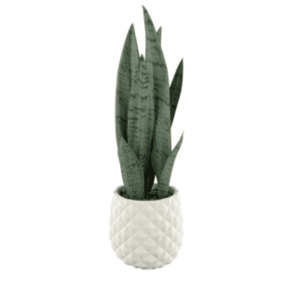 Planta Artificial - Zonamuebles