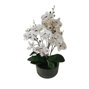 Orquidea Decorativa - Zonamuebles