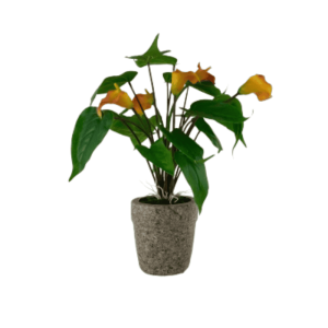 Orquidea Decorativa - Zonamuebles