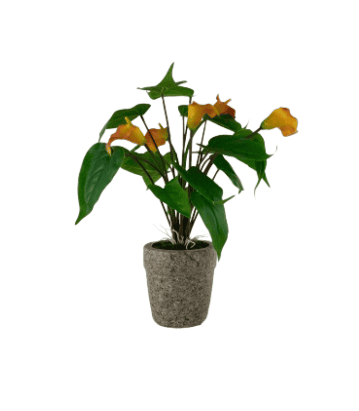 Orquidea Decorativa - Zonamuebles