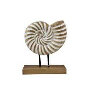 Decoración caracol 20x7x25cm