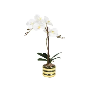 Orquídea blanca c/pote