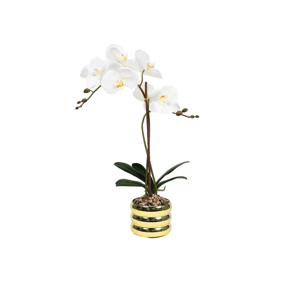 Orquídea blanca c/pote